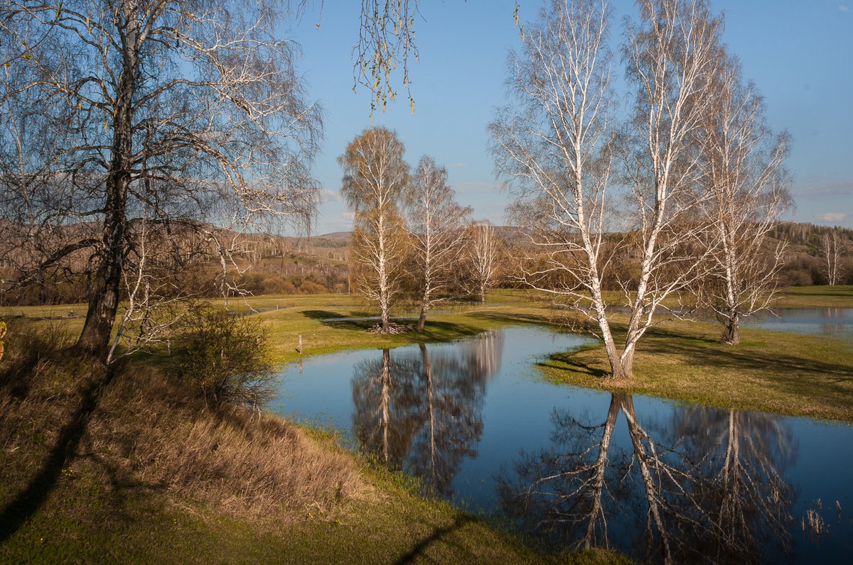 Аномальное тепло пришло в Иркутск
