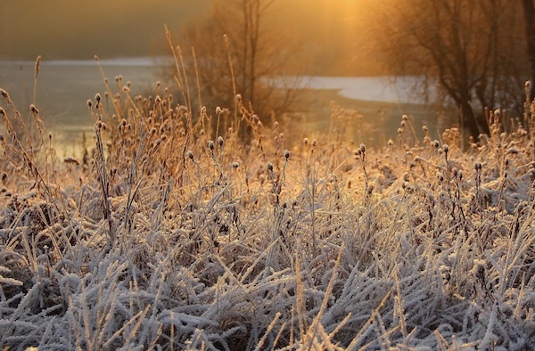 Морозы до -29 ожидаются в Иркутской области