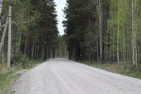 Около 30 км дорог в садоводства отремонтировали в регионе