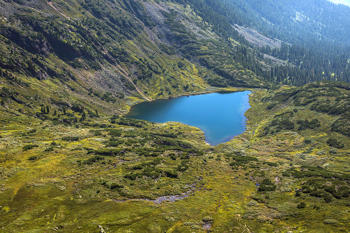 Хамар дабан фото