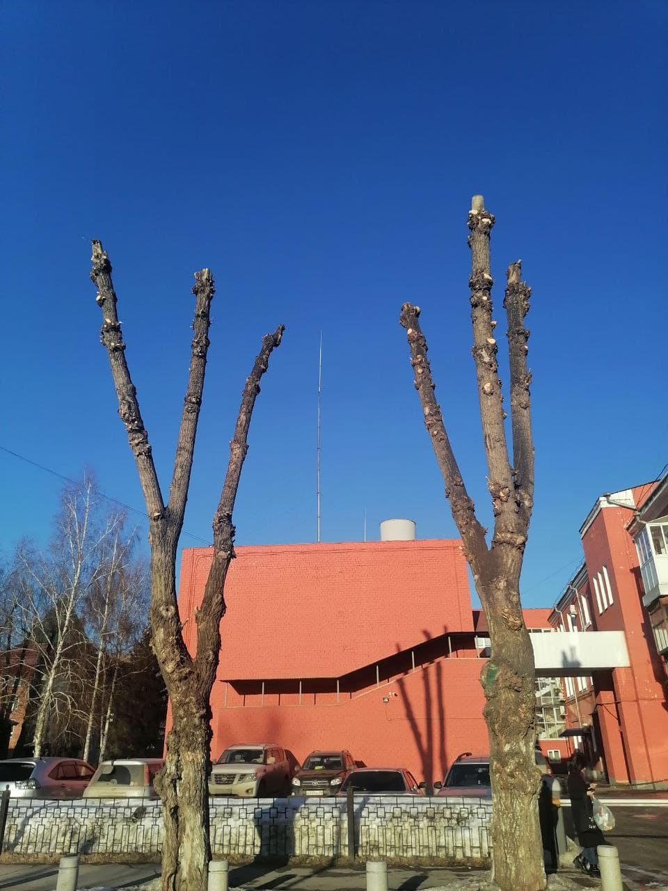 «Нельзя не любить Иркутск за стабильность»