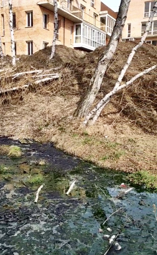 Канализацию из многоквартирных домов сливают прямо в иркутское водохранилище