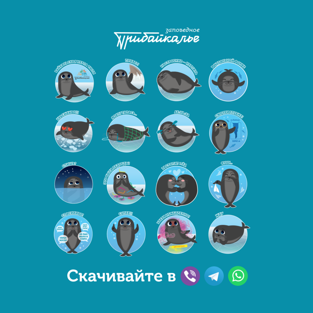 Стикеры для WhatsApp, Telegram и Viber с байкальской нерпой создали в Иркутске