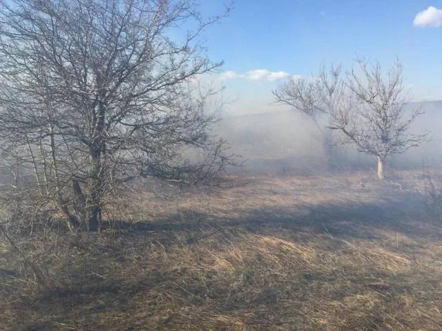 По фактам лесных пожаров в Приангарье возбуждено 20 уголовных дел