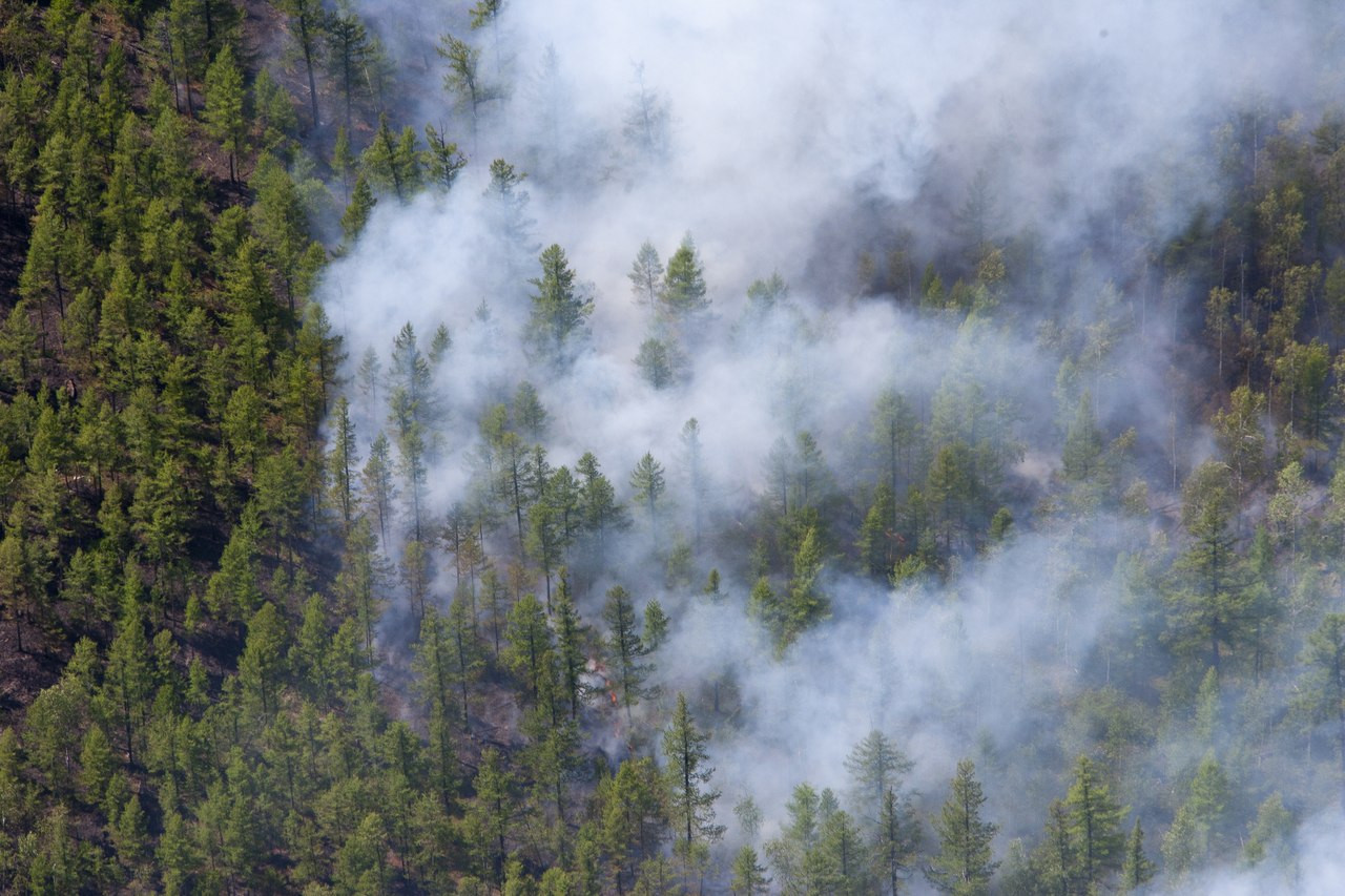 На север Приангарья переброшены дополнительные силы для предупреждения лесных пожаров