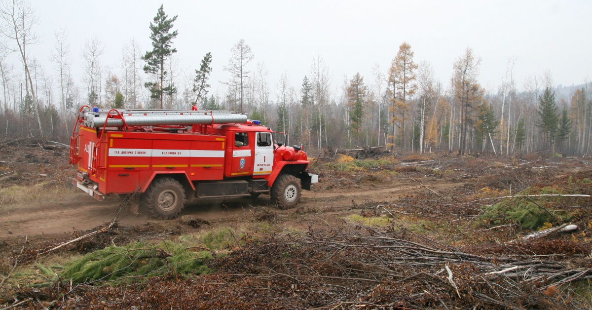 Штрафы на 4,7 млн выписали нарушителям пожарной безопасности в лесах Приангарья