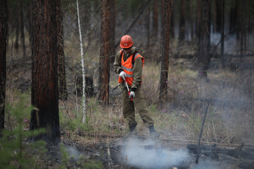 Режим ЧС в лесах Иркутской области отменён
