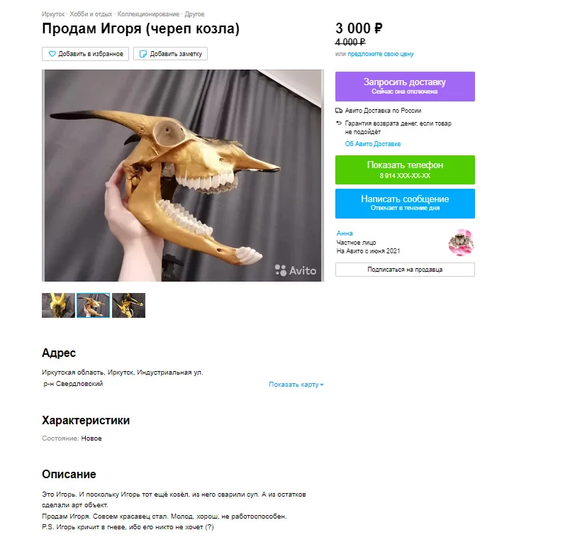 Череп козла Игоря продает иркутянка на «Авито»