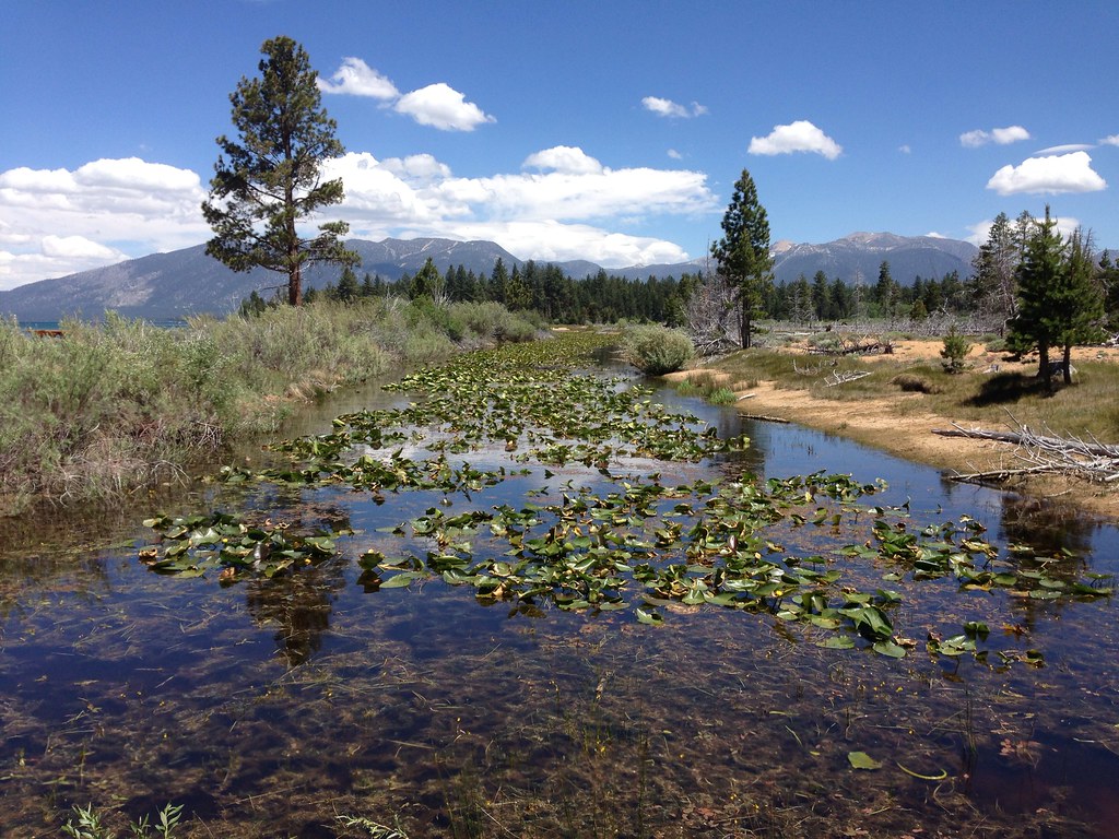 Семья иркутян с детьми застряла в болоте в Бурятии