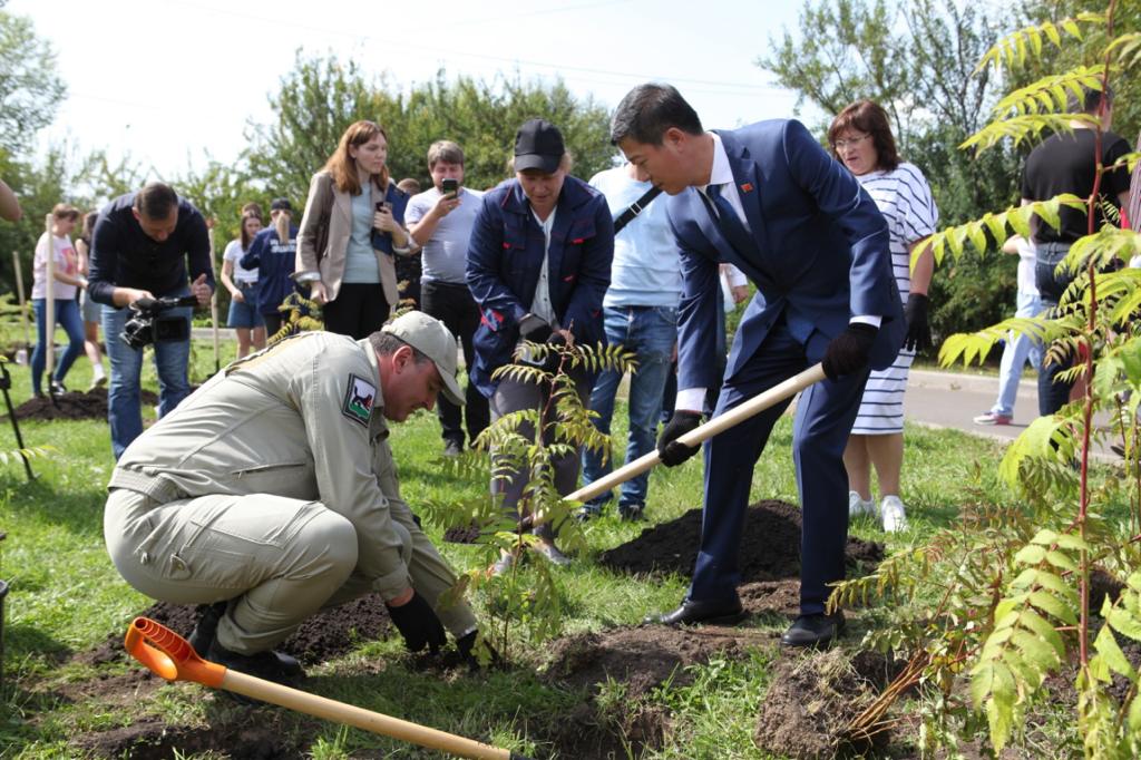 Новая аллея появилась в Иркутске в честь юбилея побратимских отношений с Шэньяном
