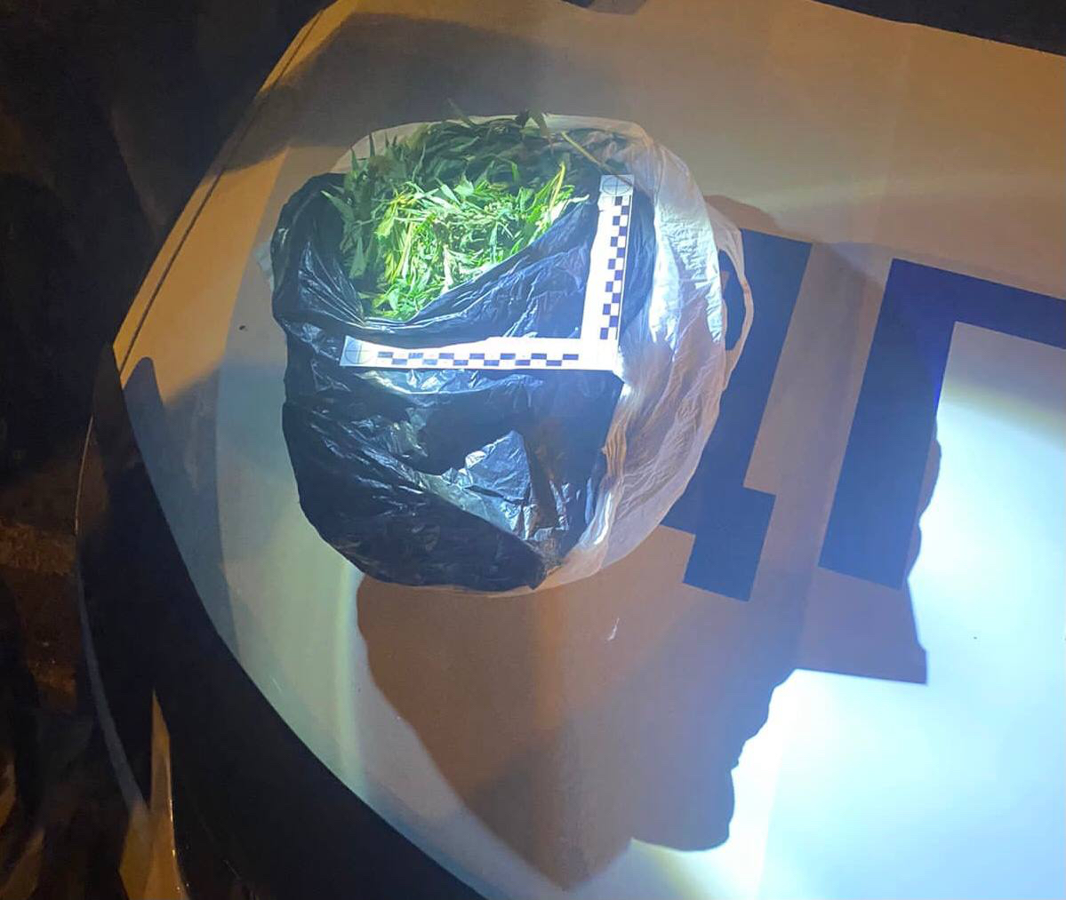 У пешехода-нарушителя ГИБДД обнаружили несколько килограммов наркотиков