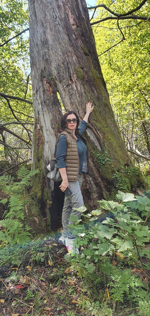 «Знатный эзотерический винегрет»