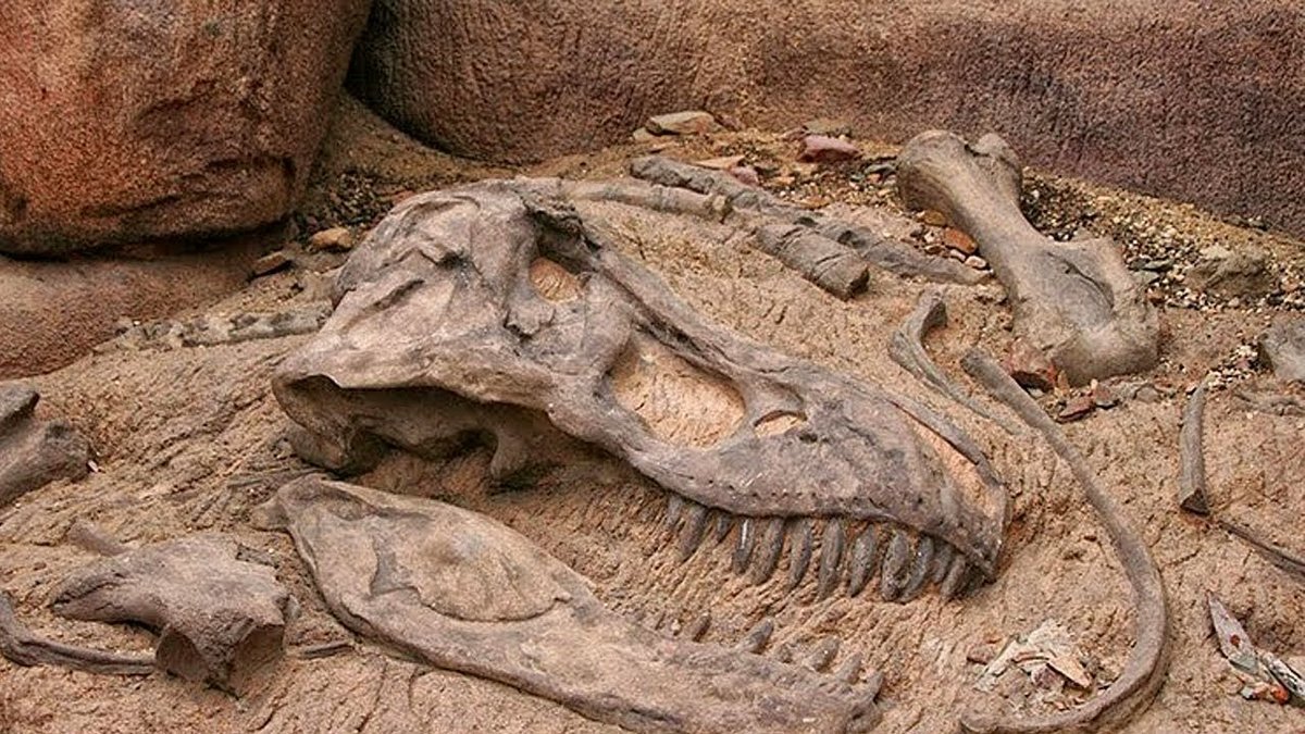 На территории Иркутской области могут быть останки динозавров 