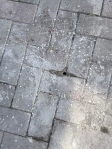 Мэр Саянска публично высказал недовольство работами по благоустройству, которые выполняла строительная компания Красноштановых