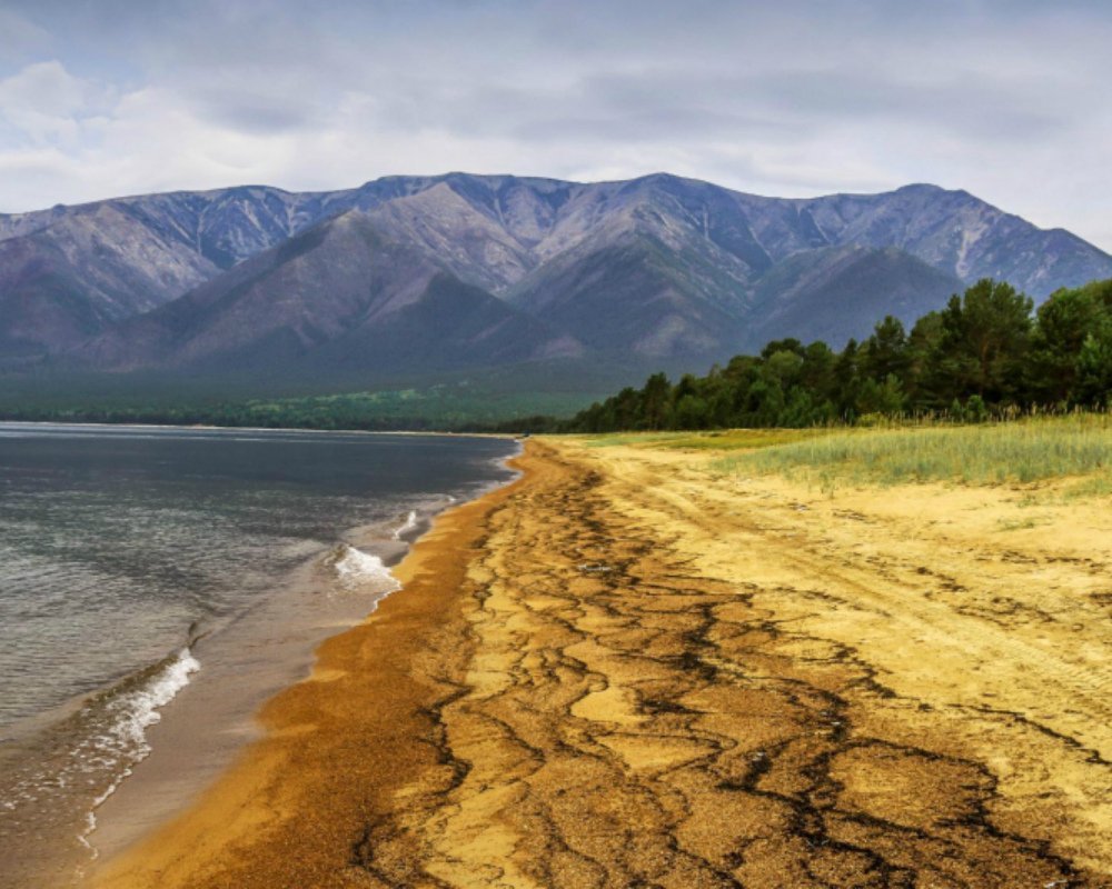 Незаконный слив канализационных стоков на берегу Байкала