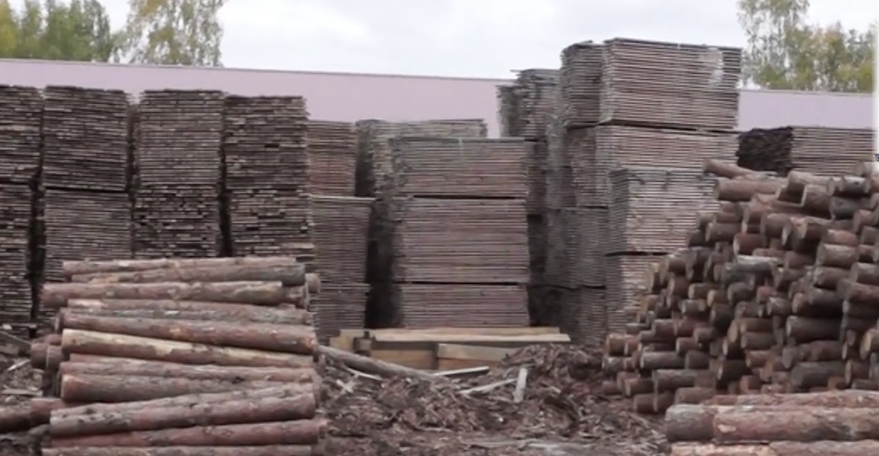 Главу Куйтунского района обвиняют в контрабанде лесоматериалов