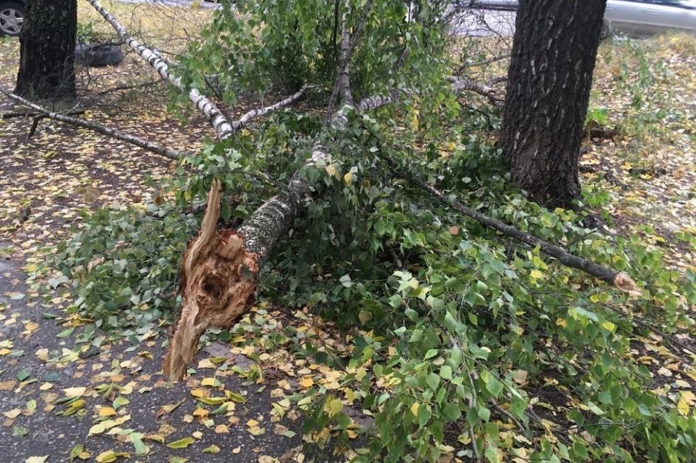Городские службы переведены на усиленный режим работы