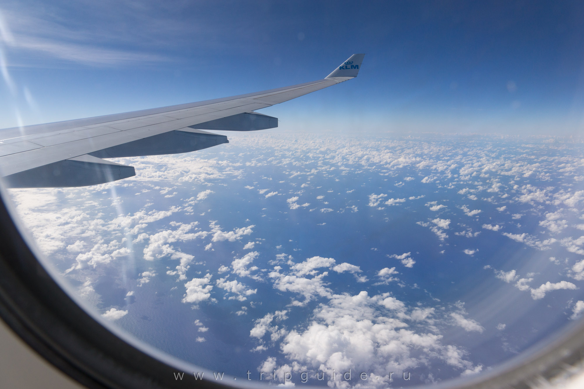 164 семьи с детьми смогли бесплатно слетать для лечения из Иркутской области