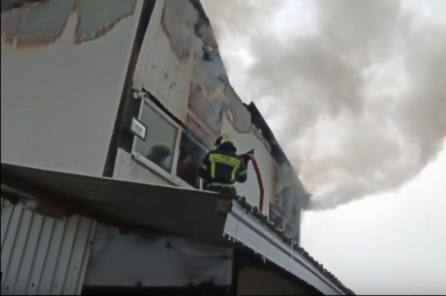 13 кошек погибло на пожаре в приюте «Пять звезд»