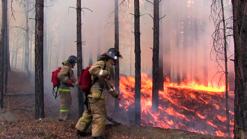 Около двух миллиардов потратят в следующем году на охрану лесов Иркутской области от пожаров
