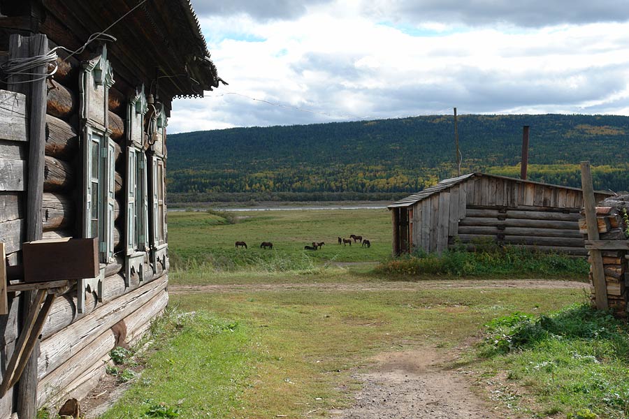 Населенным пунктам для подключения к интернету надо победить в голосовании