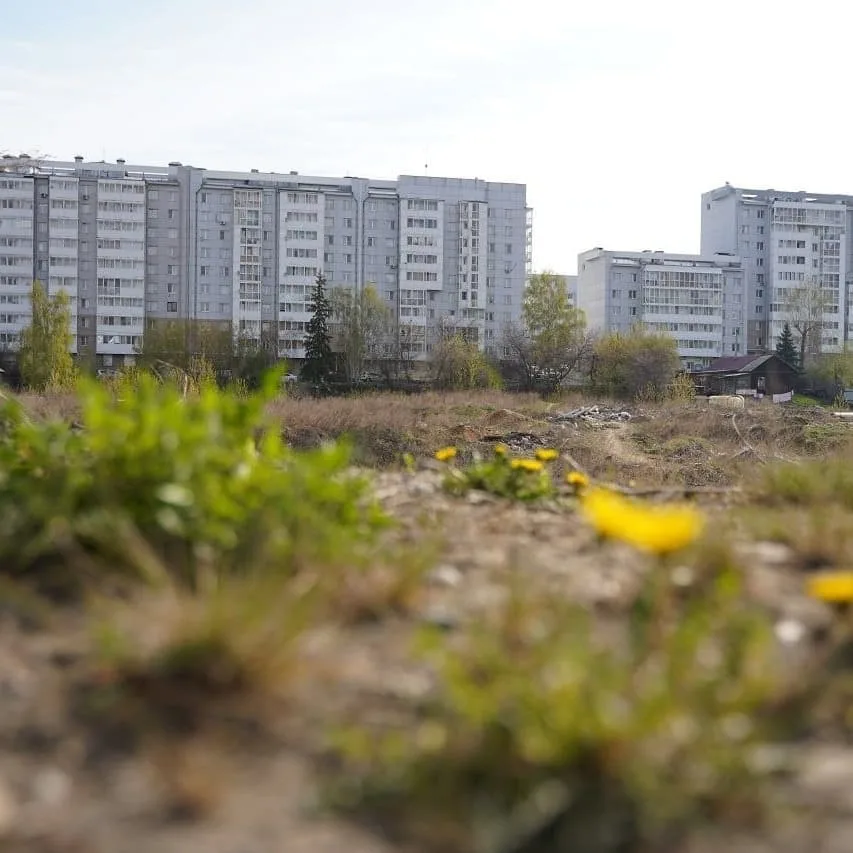 «Строительный клан Красноштановых попал в ловушку неисполнения госконтрактов»