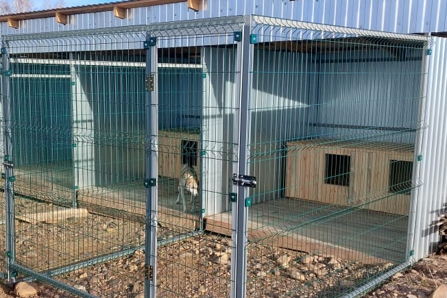 В Нижнеудинске на средства областного гранта строят приют для животных