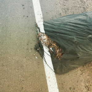 Дорожную разметку в Ангарске нанесли прямо на мусорные мешки