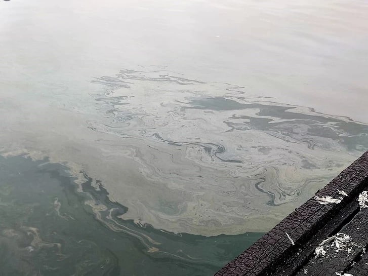 Иркутскому водохранилищу нанесен ущерб на 8 млн рублей