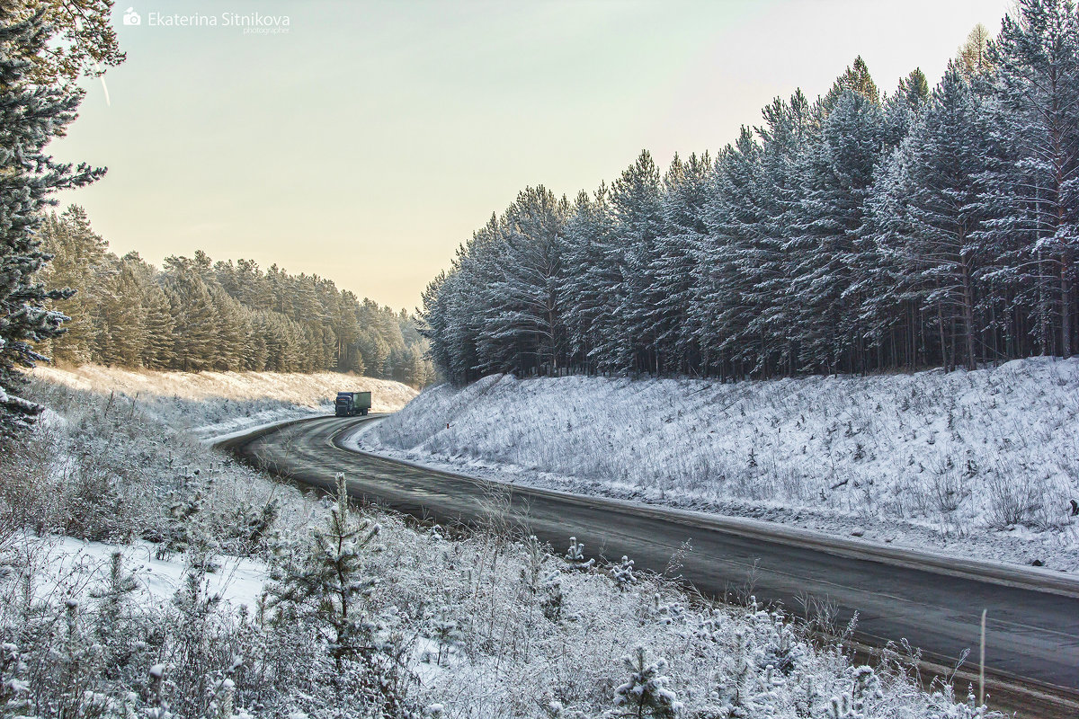 Лесной инспектор Нижнеудинска осужден за взятку на семь с половиной лет