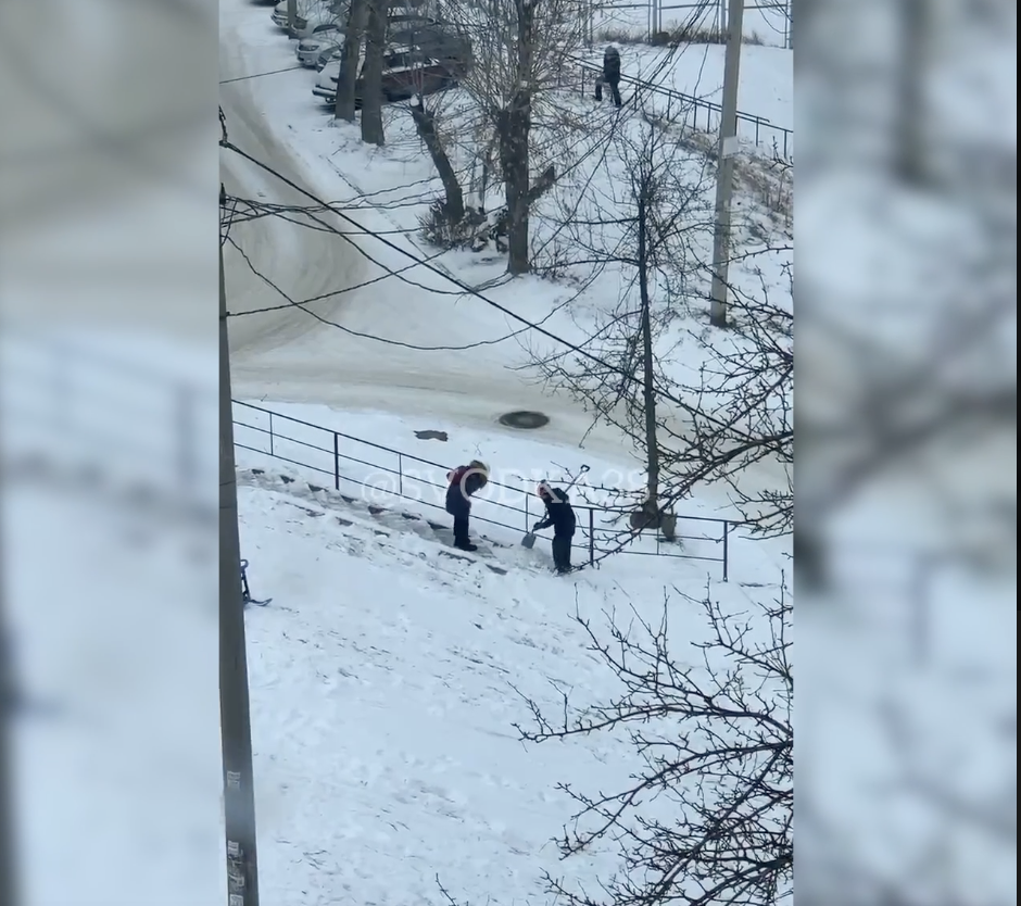 «На Синюшиной горе заметили самого воспитанного и заботливого мальчика»