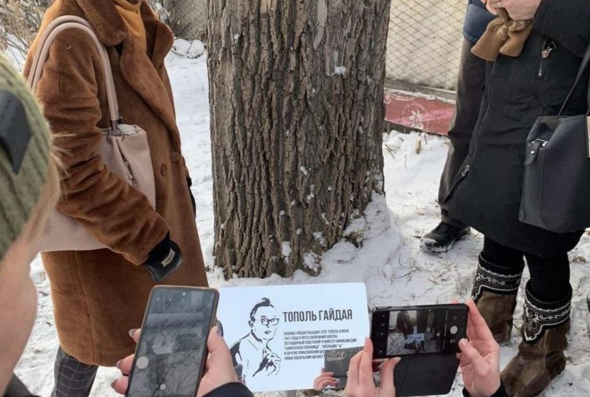 В Иркутске нашли тополь, посаженный Гайдаем