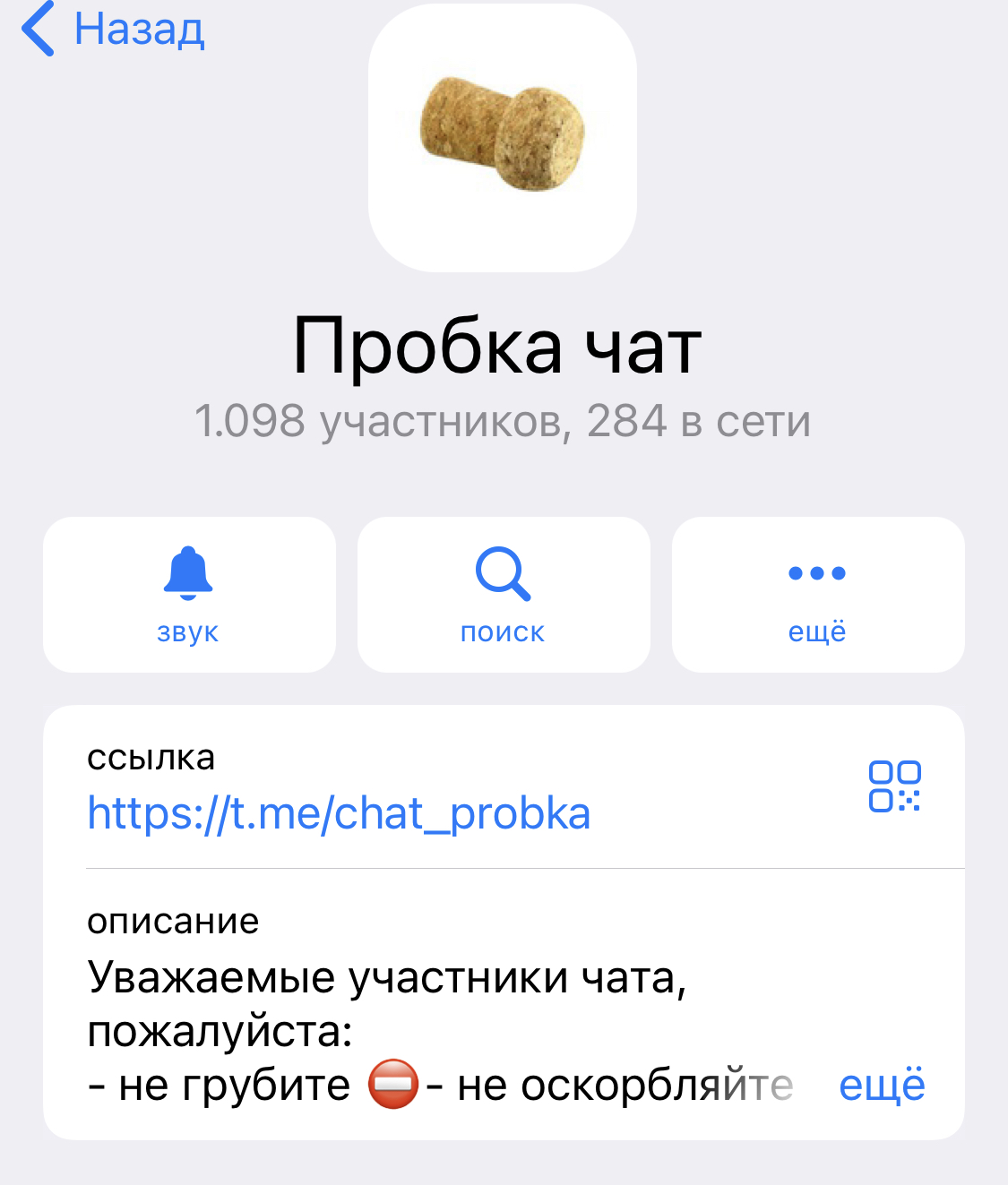 Пробка чат: телеграм-канал для автолюбителей в пробке появился в Иркутске