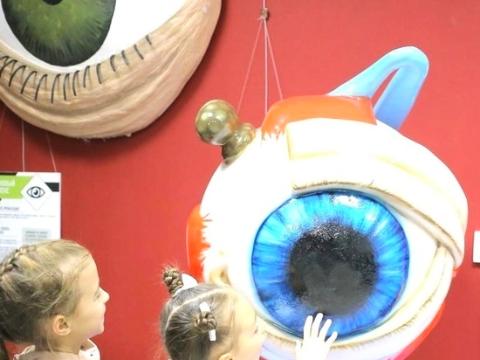 Интерактивная выставка о человеческом организме открывается в Иркутске