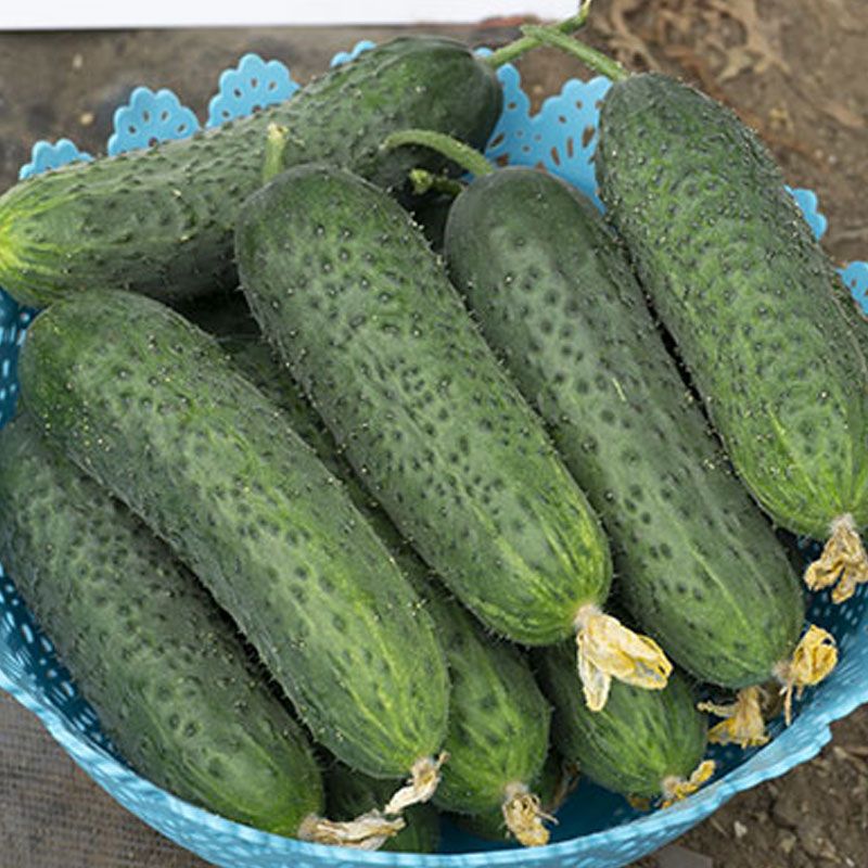 «Хорошего антимонопольного дрына смогли избежать производители огурцов»