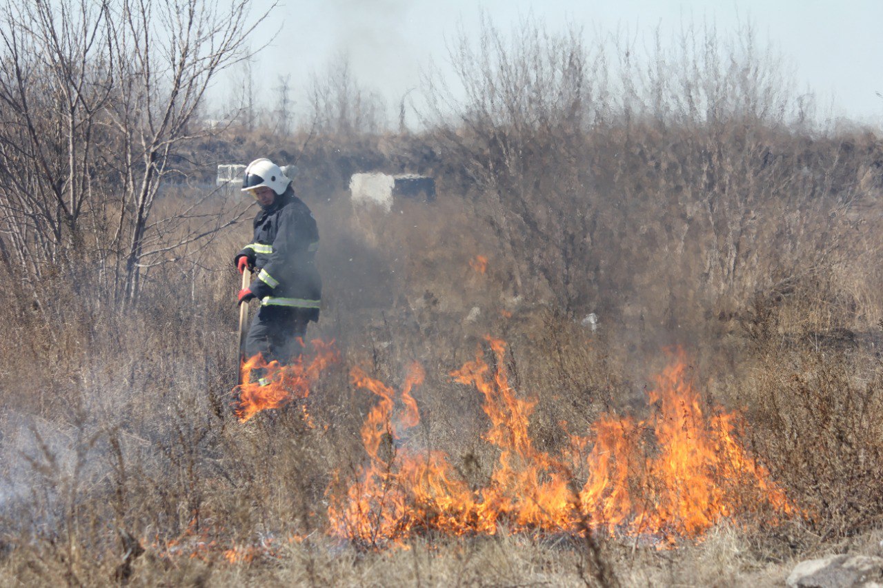В Иркутске проводят контролируемые отжиги сухой травы