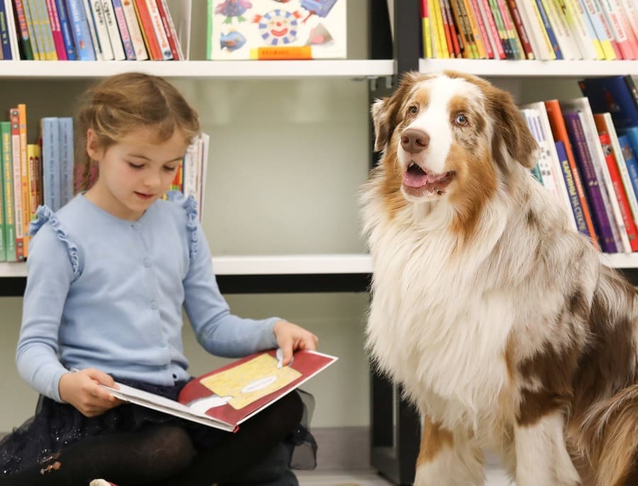Школьников в Иркутской области учат ответственному обращению с домашними животными