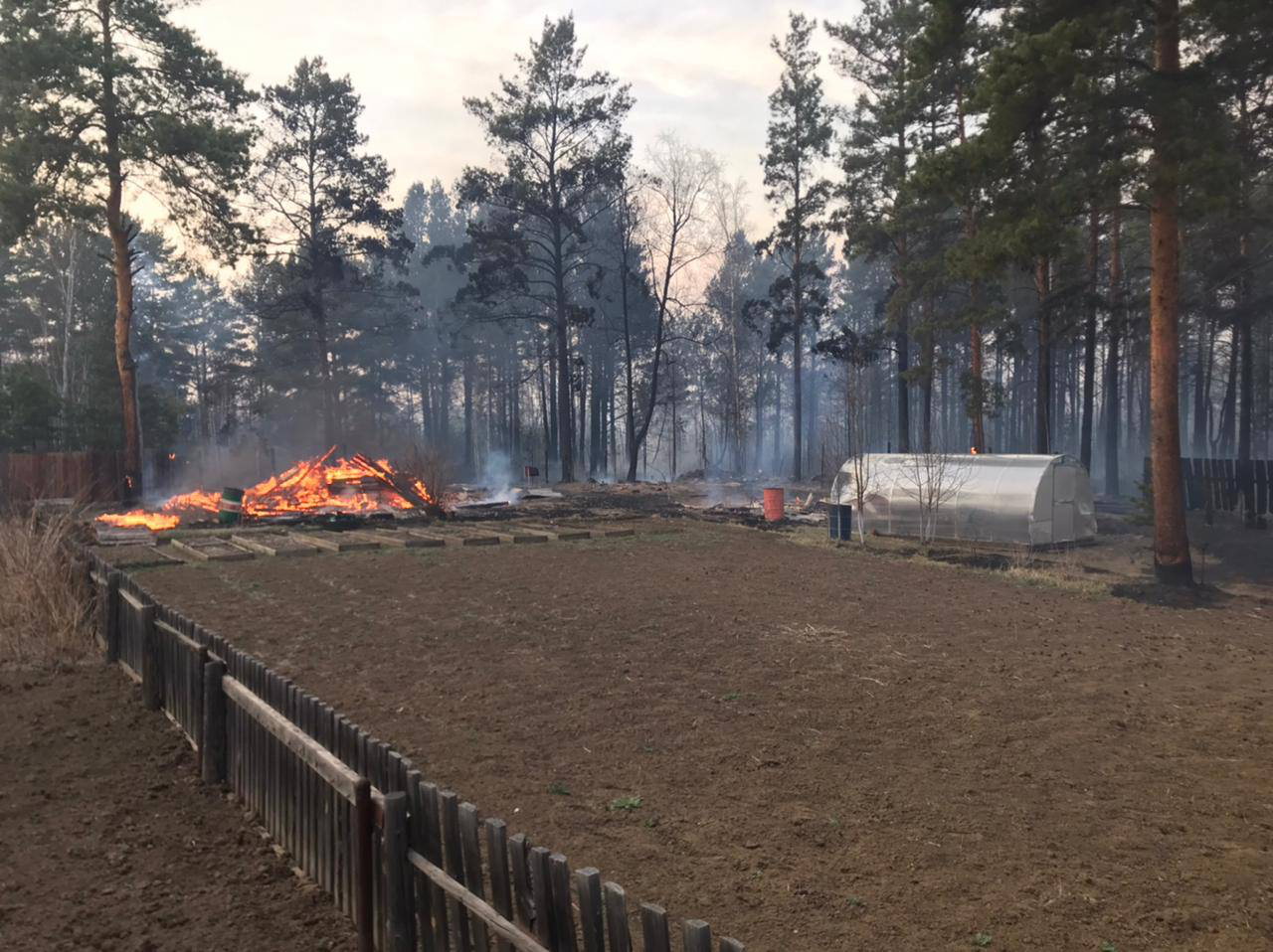 «Хороший дрын завис над мэром Усолья»