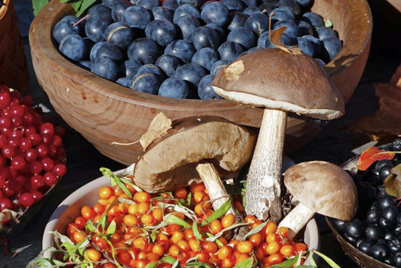 «Иркутский предприниматель предложил ввести налог на грибы»