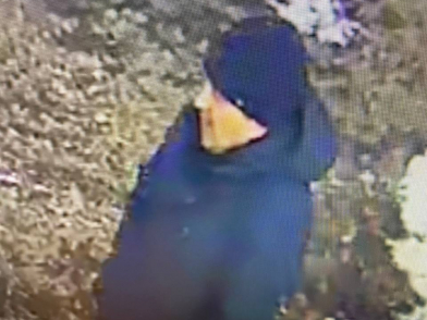 Серийный автоугонщик действует на парковках у детских садов в Иркутске