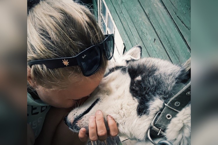 Суд вынес приговор супругам, убившим хаски в Иркутском районе