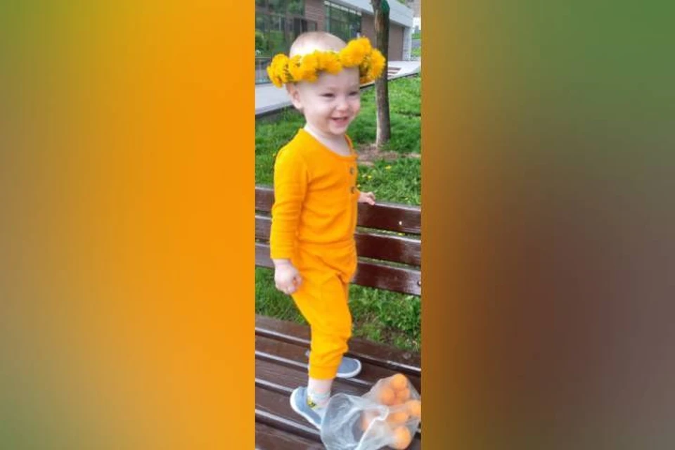 Кинологу с собакой удалось взять след пропавшей девочки