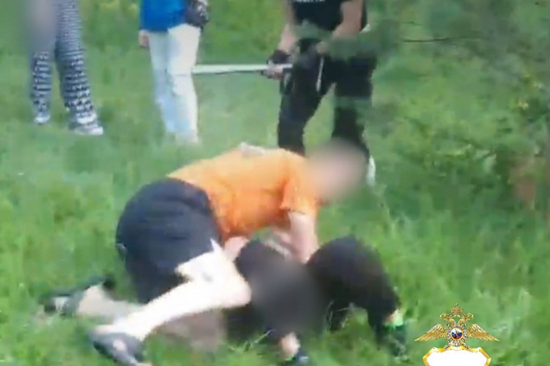 В Черемховском районе девушку избили бейсбольной битой