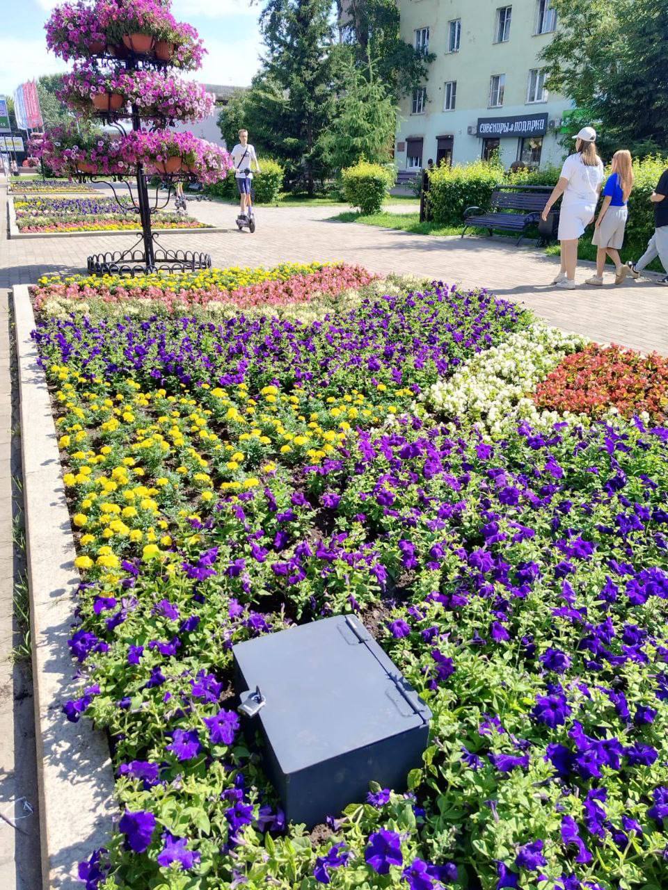 Иркутские клумбы поливают с помощью подземных коммуникаций