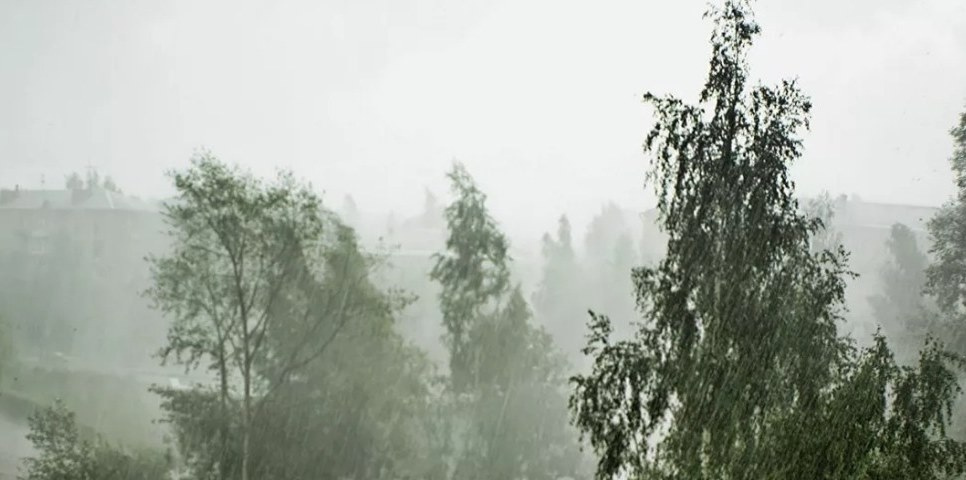 Кобзев сообщил о введении режима повышенной готовности