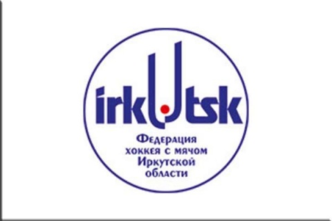 «Евросибэнерго-Гидрогенерация» требует взыскать с областной Федерации хоккея с мячом 15 млн