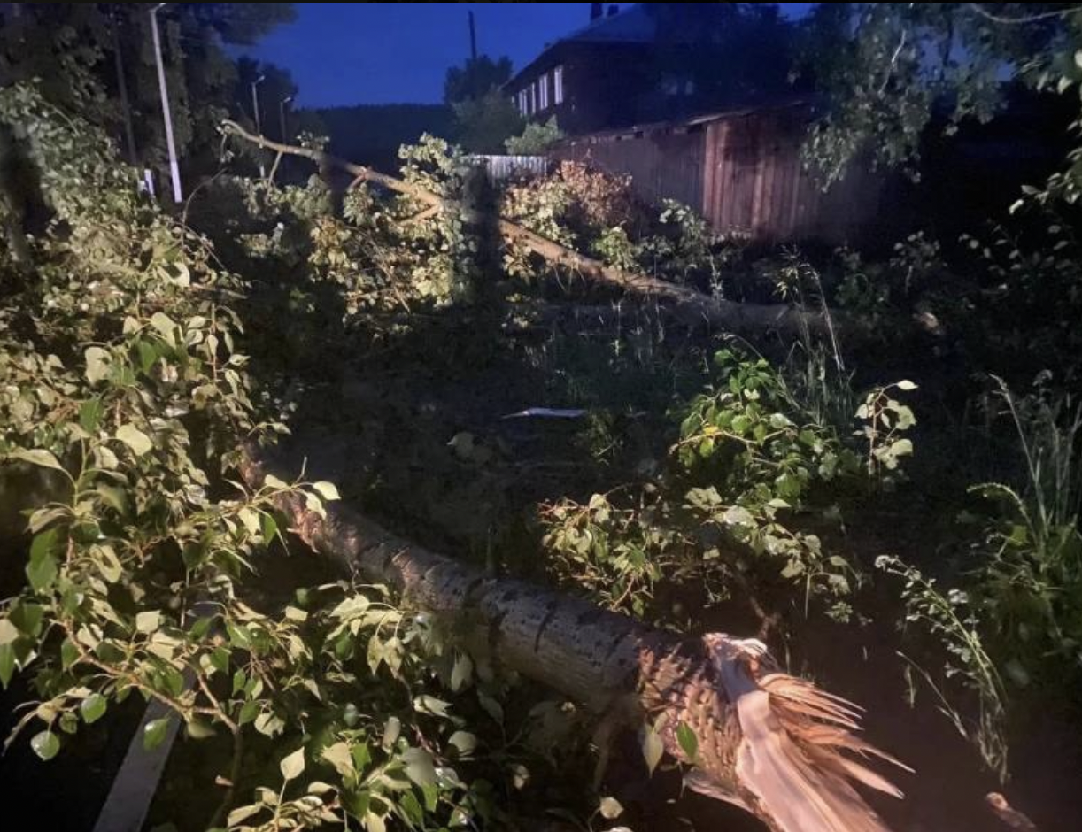 Почти 2,5 тысячи домов остались без света из-за грозы в Иркутской области