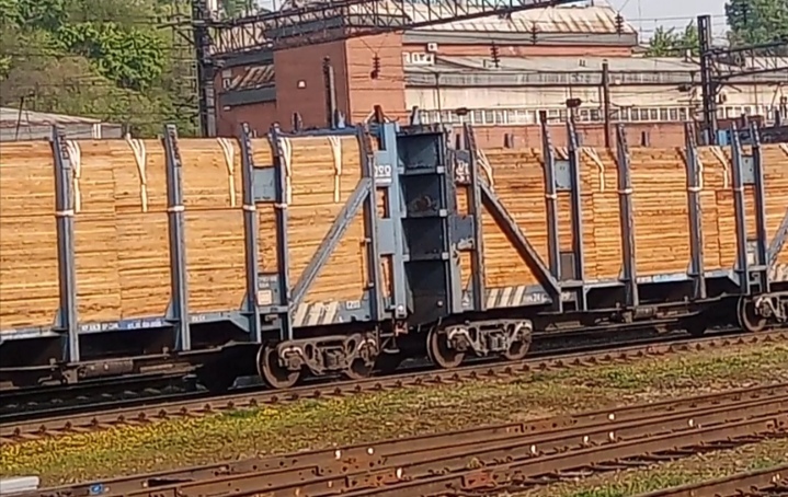 Дело по контрабанде леса на сумму свыше 60 млн руб возбуждено в Иркутской области