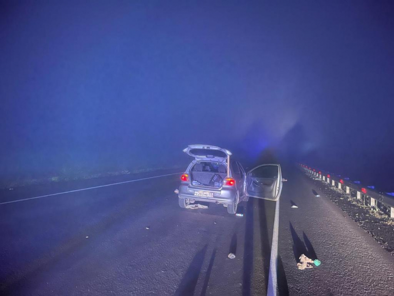 19-летний водитель насмерть сбил пешехода в Тулунском районе