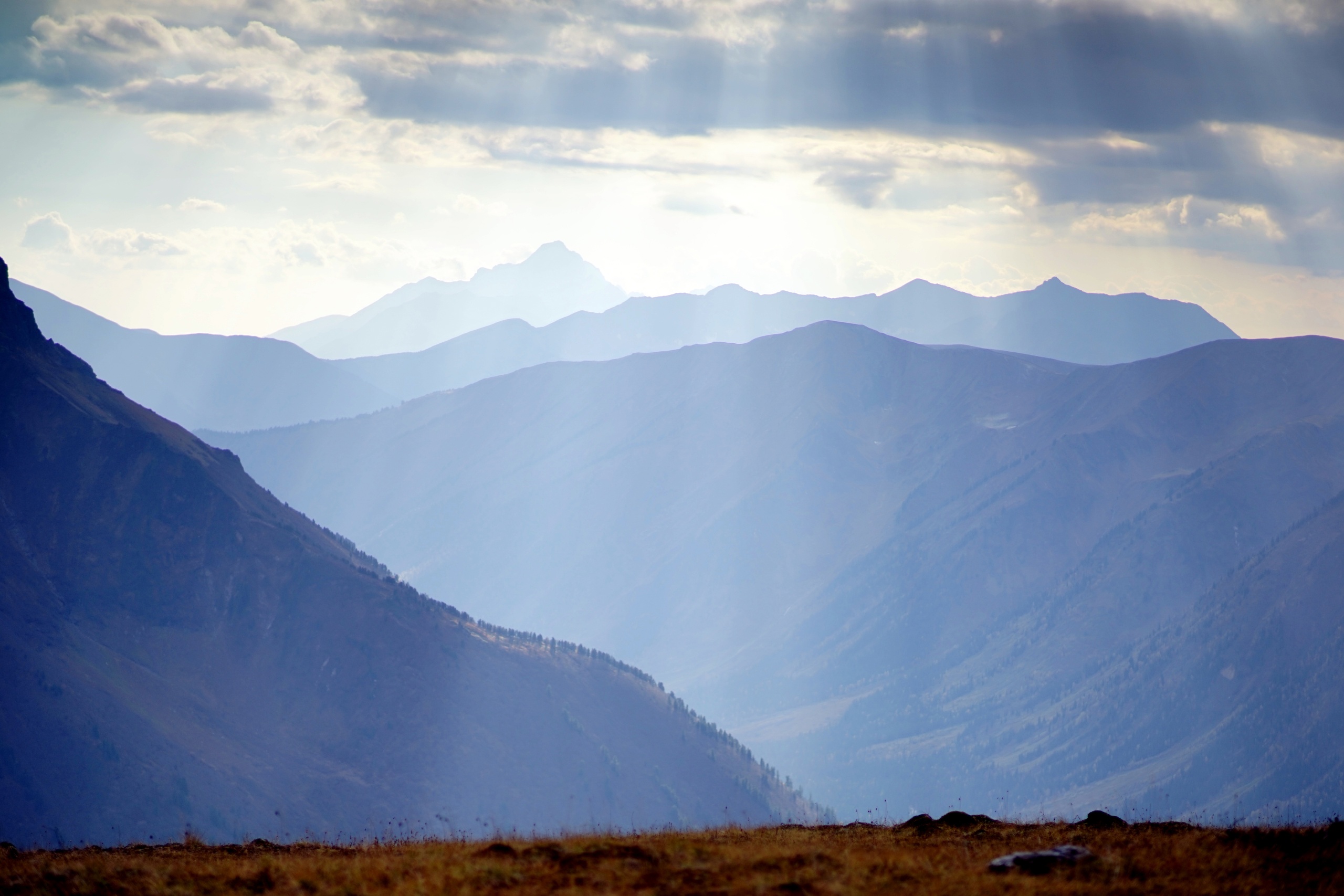 Турист со сломанным позвоночником несколько суток ждал помощи в тайге на границе Иркутской области и Красноярского края